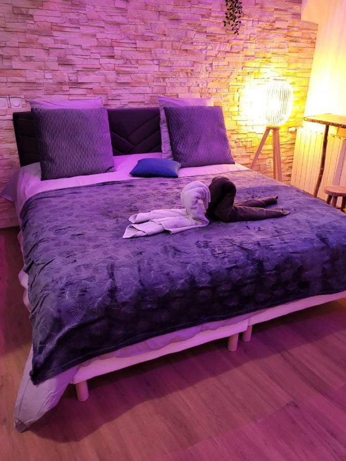 Le Spa De La Cathedrale - Jacuzzi - Sauna - Champagne - Netflix - Wifi Troyes Exterior foto