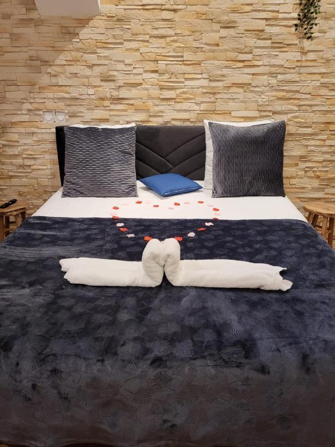 Le Spa De La Cathedrale - Jacuzzi - Sauna - Champagne - Netflix - Wifi Troyes Exterior foto